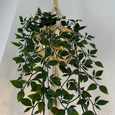 アパート The Costa Bella House トレビエハ